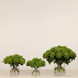 Sedum Arrangement in Glass Vase