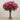 -Artificial Magnolia in Glass Vase-Bloomr