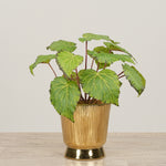 -Artificial Begonia Arrangement-Bloomr