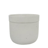 Pots-Round Cement Tree Pot-Bloomr