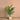 Trees-Artificial Areca Palm <br> 120cm-Bloomr