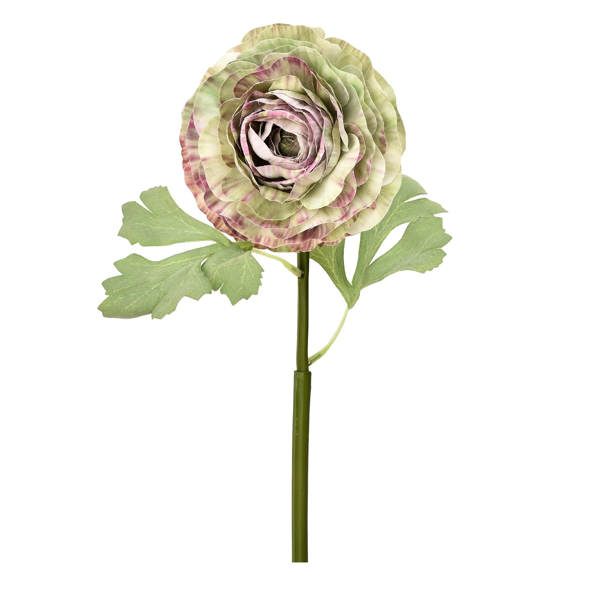 Ranunculus - Bloomr