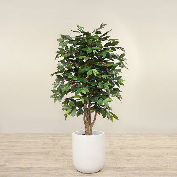 Artificial Coffee Tree <br> 150cm - Bloomr