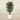 Trees-Artificial Coffee Tree <br> 180cm-Bloomr