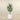 Trees-Artificial Ficus Tree <br> 120cm-Bloomr