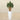 Trees-Artificial Jade Plant<br> 100cm-Bloomr