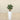 Trees-Artificial Jade Plant<br> 70cm-Bloomr