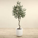 Artificial Olive Tree <br> 240cm - Bloomr