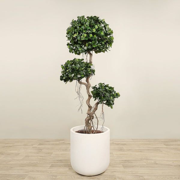Artificial Panda Ficus Tree <br> 180cm - Bloomr