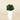 Trees-Artificial Panda Ficus Tree <br> 75cm-Bloomr