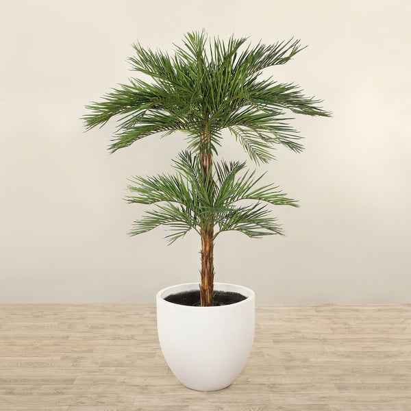 Artificial Phoenix Palm Tree <br> 240cm - Bloomr