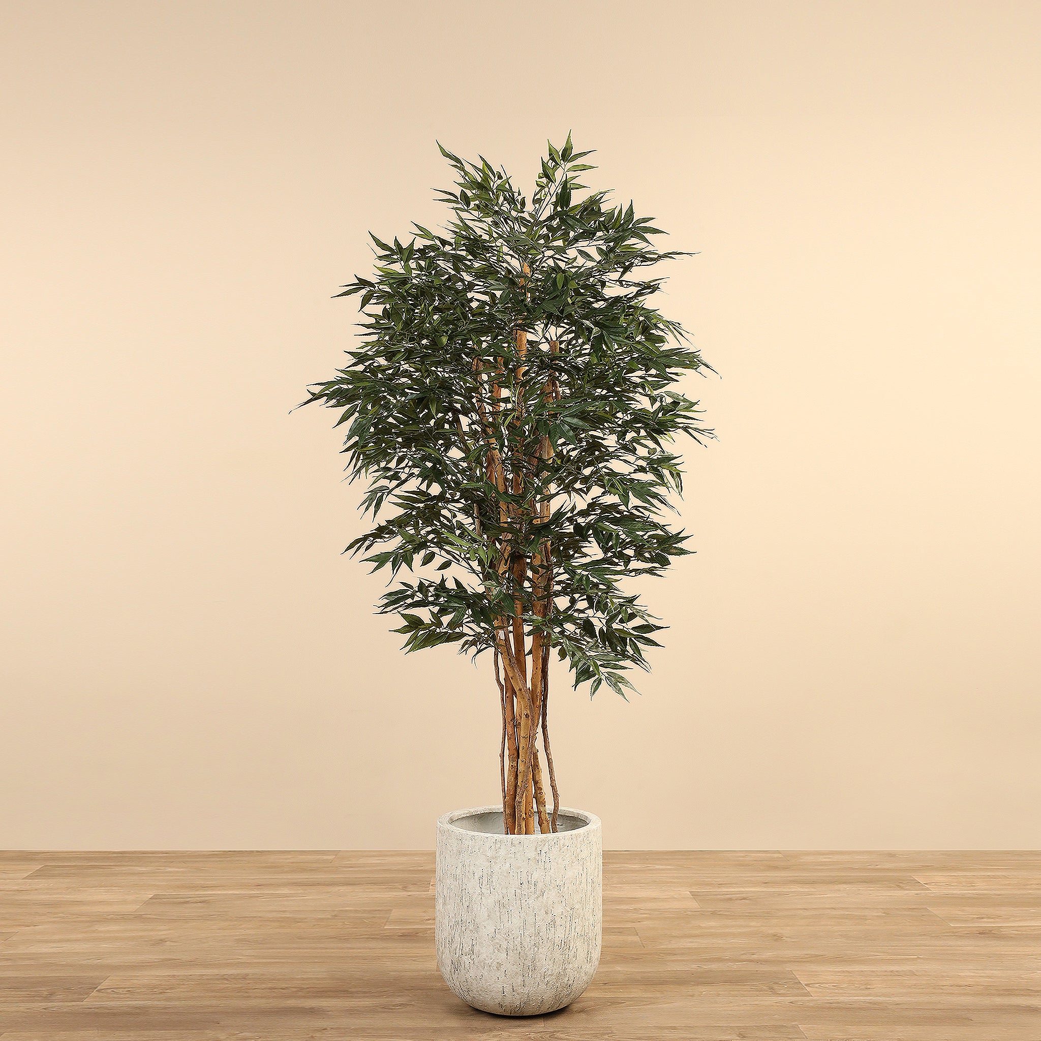 Artificial Shirakashi Tree <br>180cm - Bloomr
