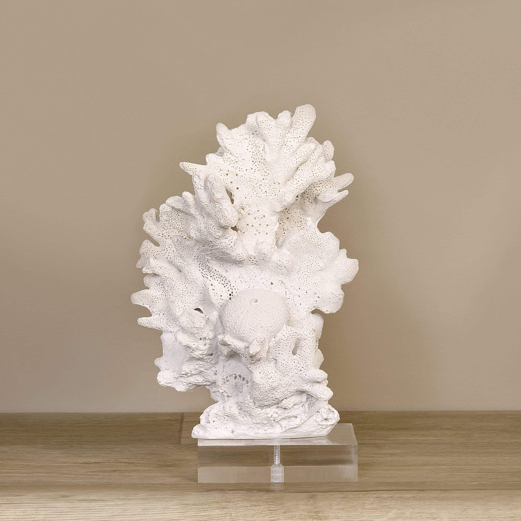 Coral Bookend on Acrylic - Bloomr
