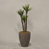 Artificial Yucca Plant With Pot - Bloomr