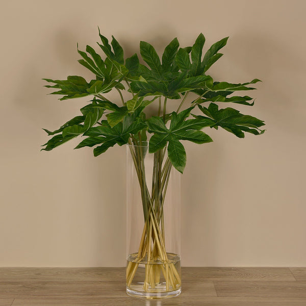 Aralia Leaf Arrangement in Glass Vase - Bloomr