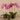 Flowers-Artificial Orchid Arrangement-Bloomr