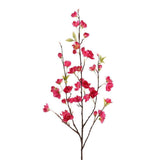 Cherry Blossom - Bloomr