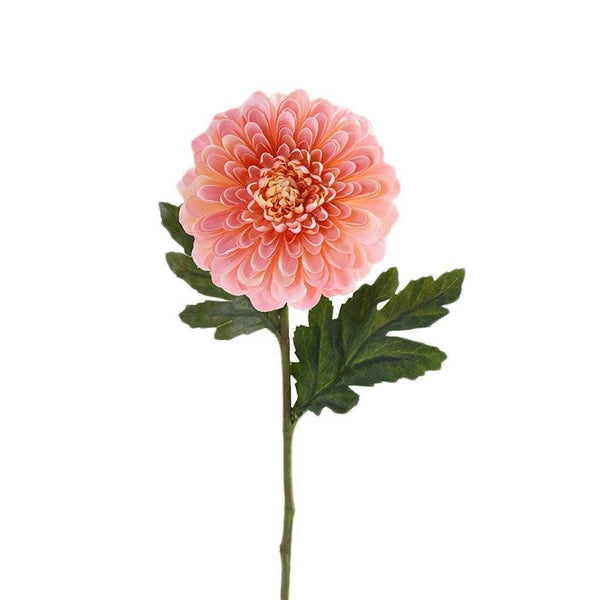 Chrysanthemum - Bloomr