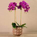 Artificial Orchid Arrangement - Bloomr