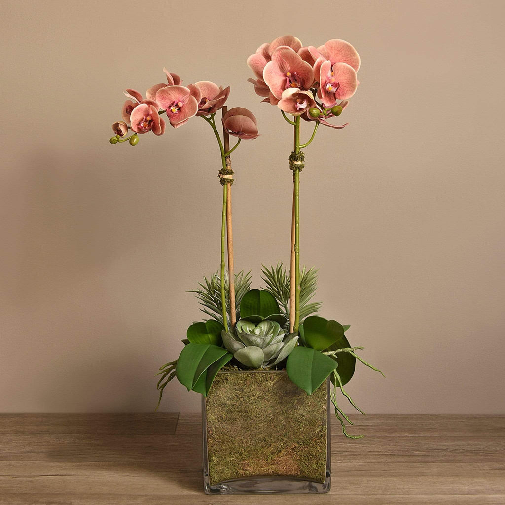 Artificial Orchid & Succulent Arrangement - Bloomr
