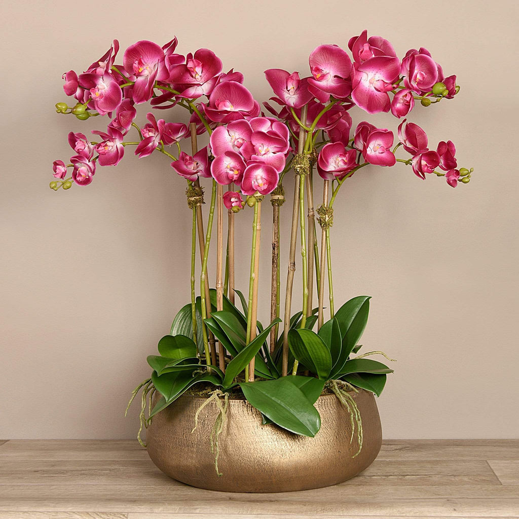 Oasis Artificial Orchids in Gold Pot - Bloomr