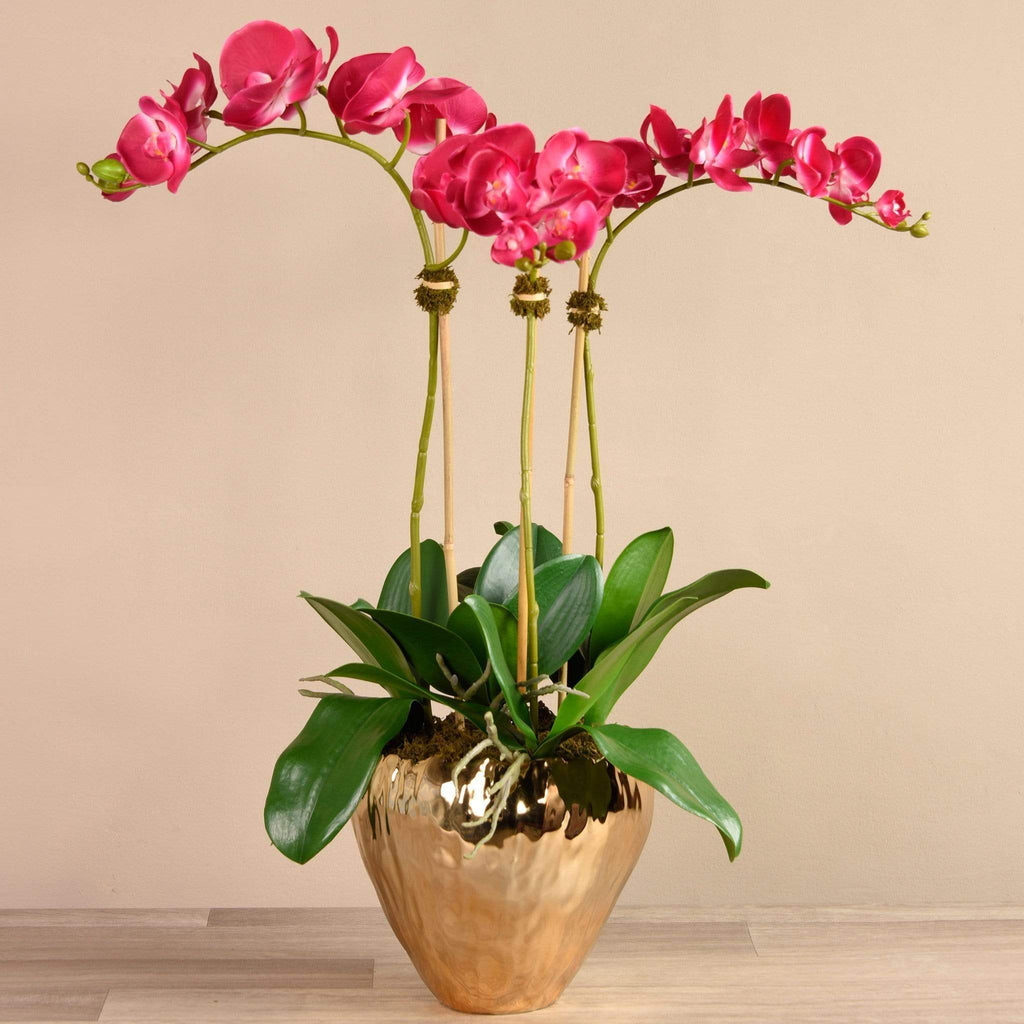 Orchid Arrangement in Gold Vase - Bloomr