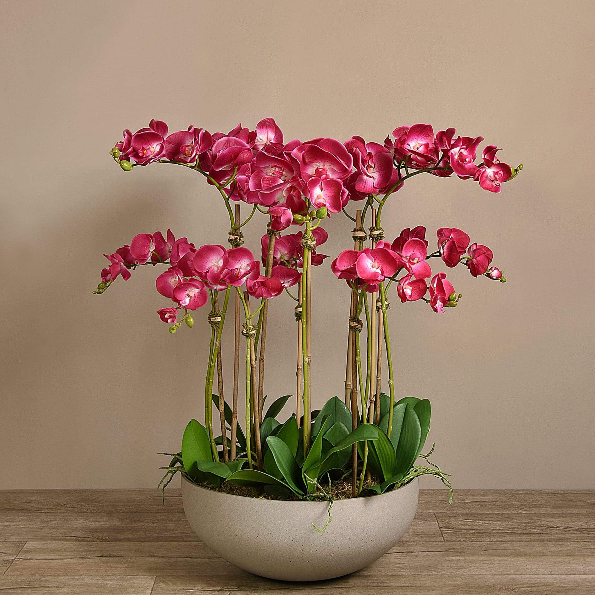 Sleek Artificial Orchid Arrangement - Bloomr