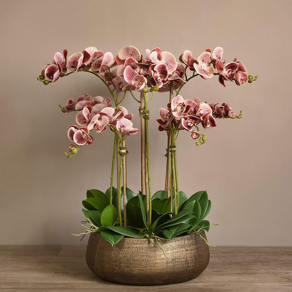 Oasis Artificial Orchids in Gold Pot - Bloomr