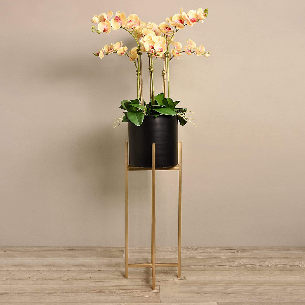 Orchid Arrangement - Bloomr