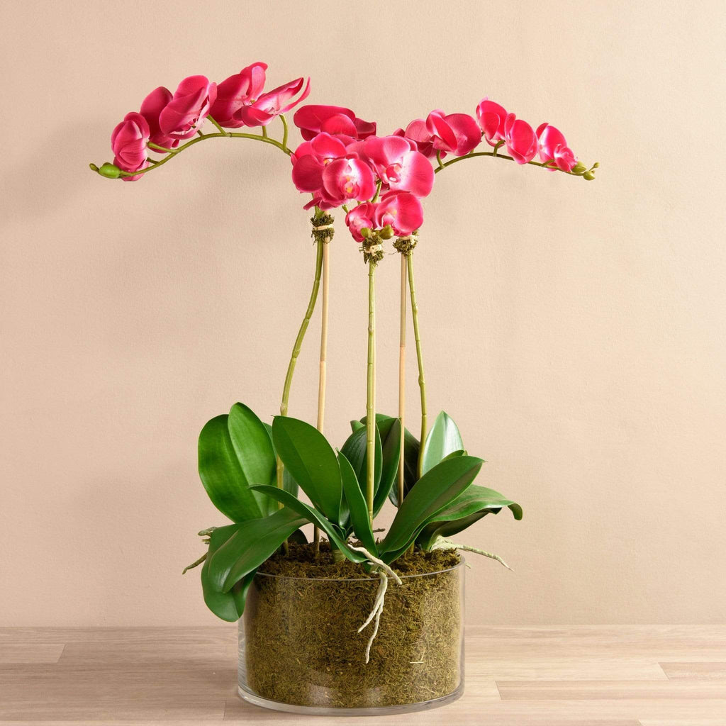 Artificial Orchid Arrangement in Glass Vase - Bloomr