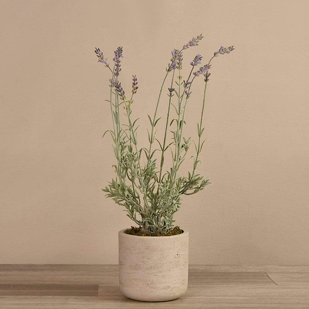 Artificial Potted Lavender - Bloomr