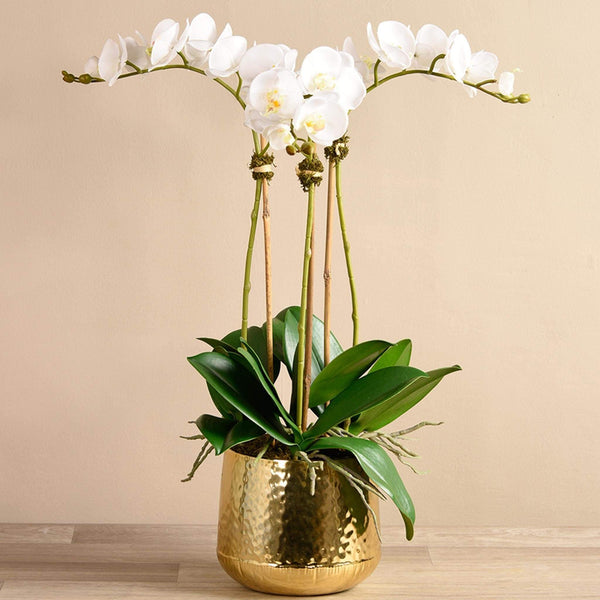 Parisian Artificial Orchid Arrangement | Bloomr