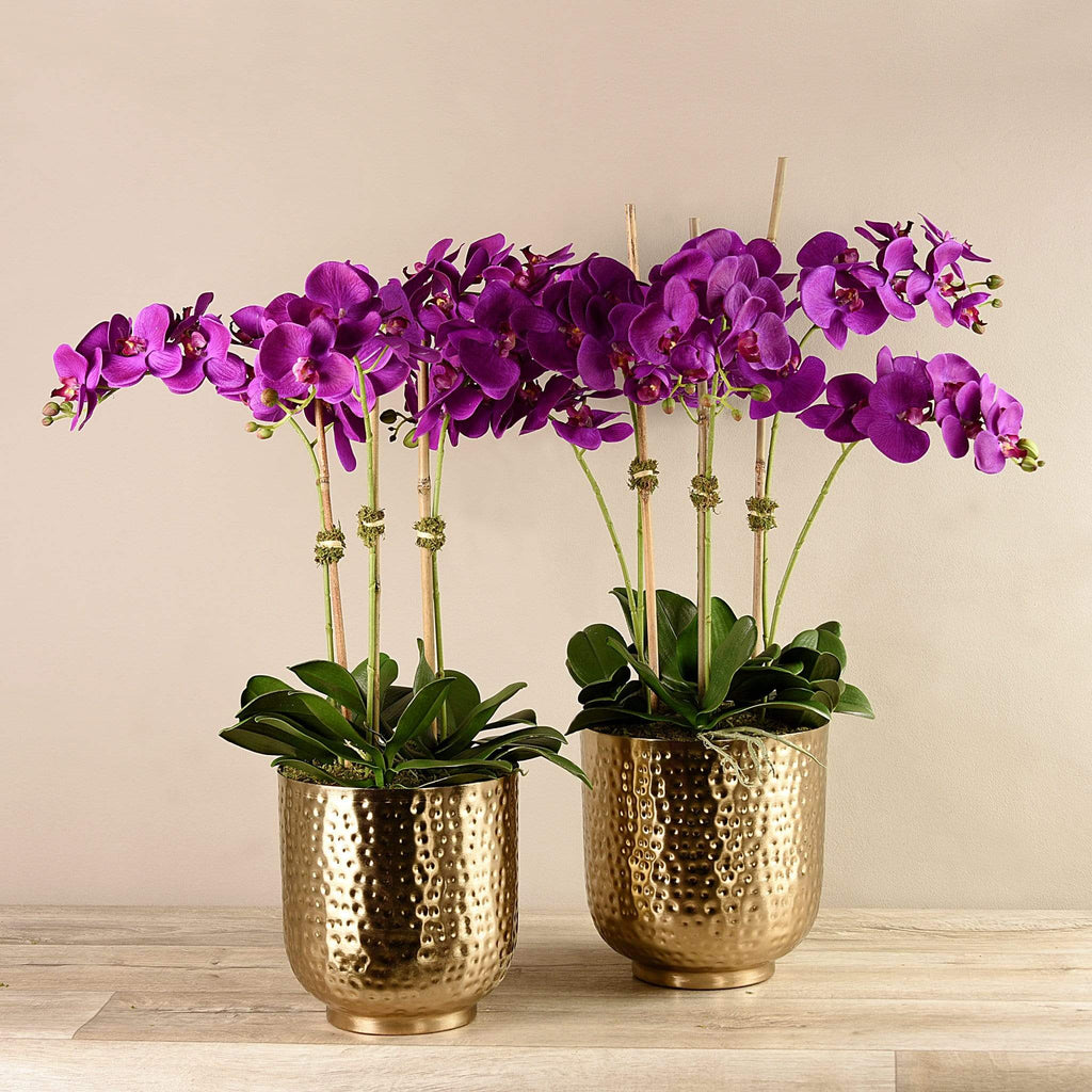 Artificial Orchid in Gold Vase - Bloomr
