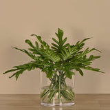 Philodendron Arrangement in Glass Vase - Bloomr
