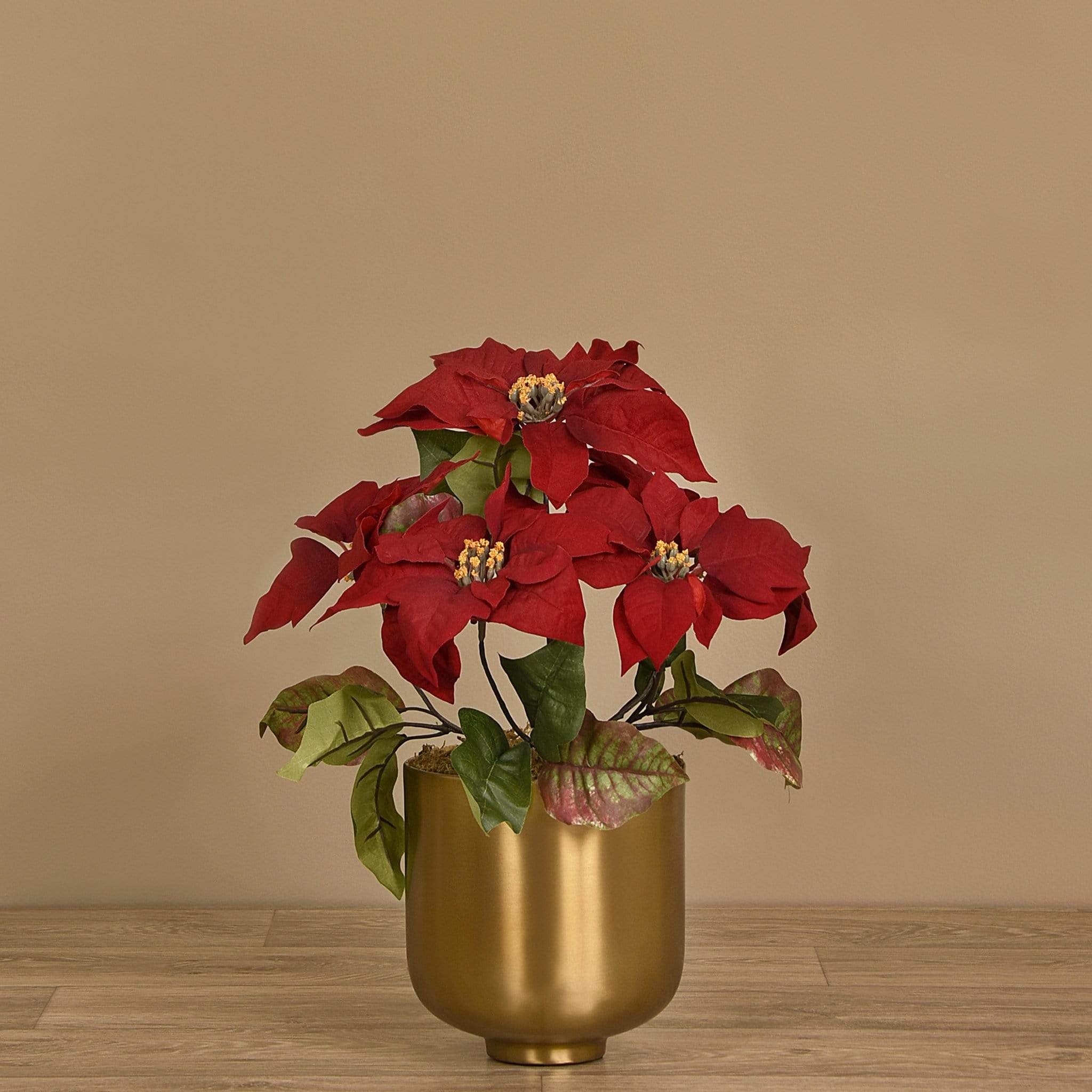 Poinsettia Arrangement in Metal Vase - Bloomr