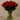 Flowers-Artificial Rose Arrangement in Glass Vase-Bloomr