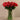 Flowers-Artificial Rose Arrangement in Glass Vase-Bloomr