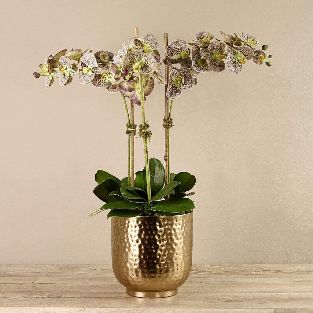 Artificial Orchid in Gold Vase - Bloomr