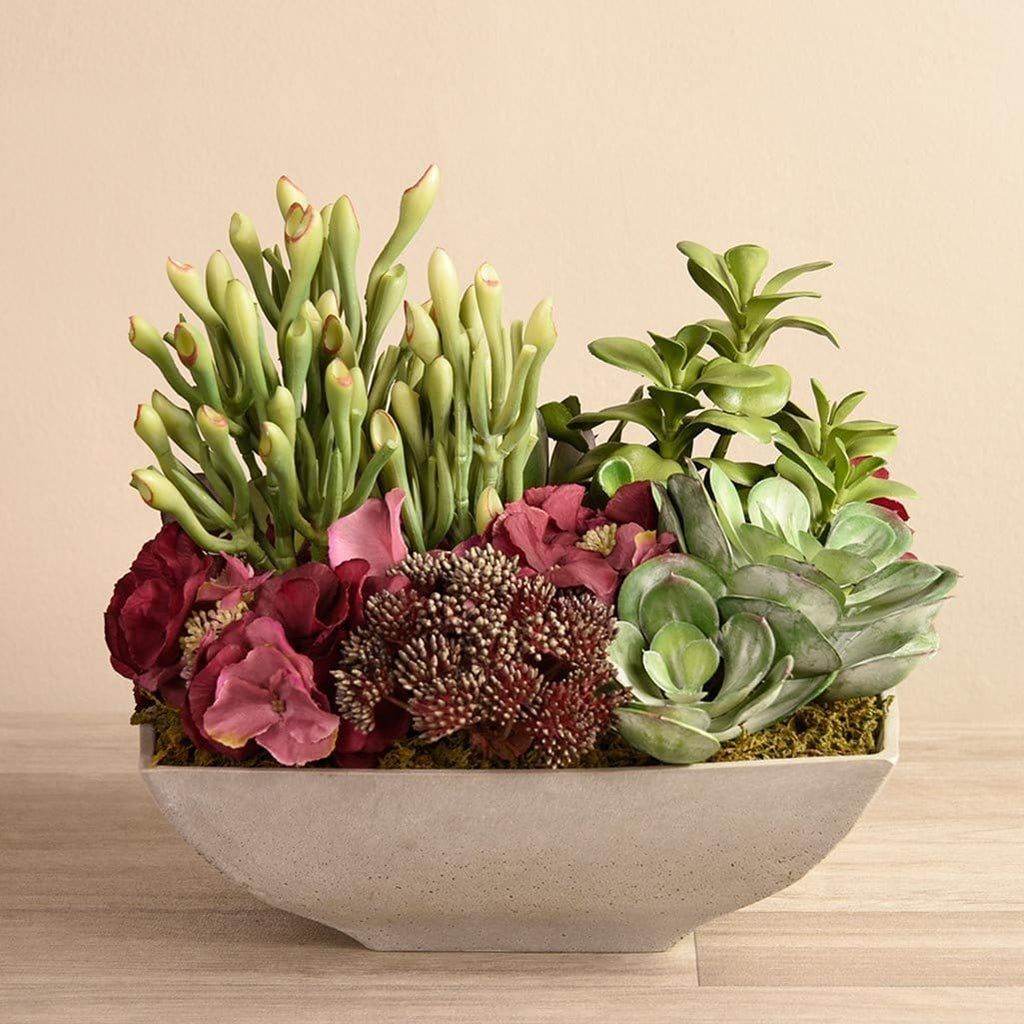 Salvador Succulent Arrangement - Bloomr