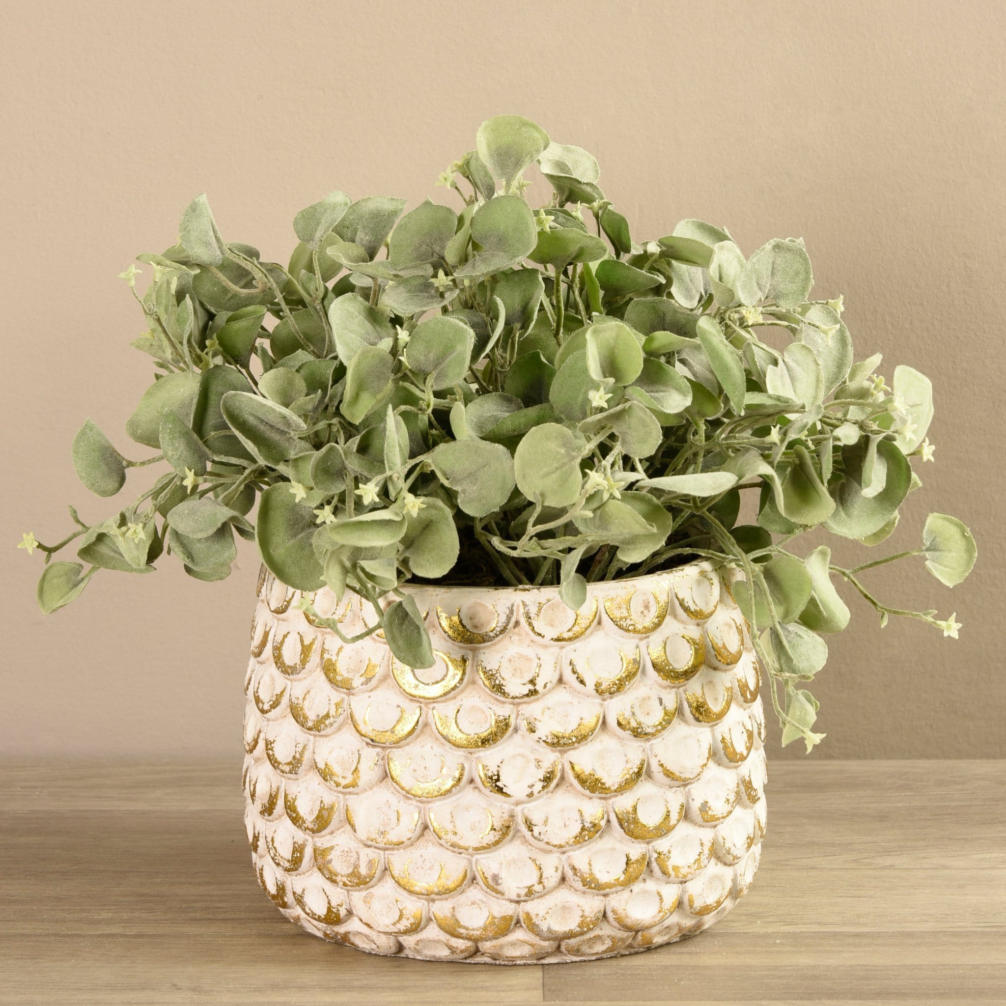 Potted Silver Fall Plant - Bloomr