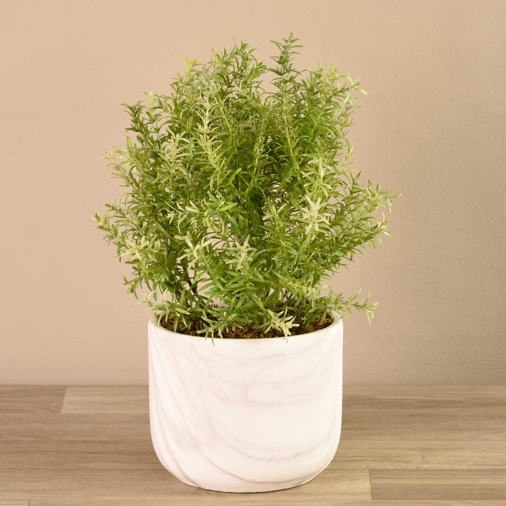Artificial Potted Asparagus Fern - Bloomr