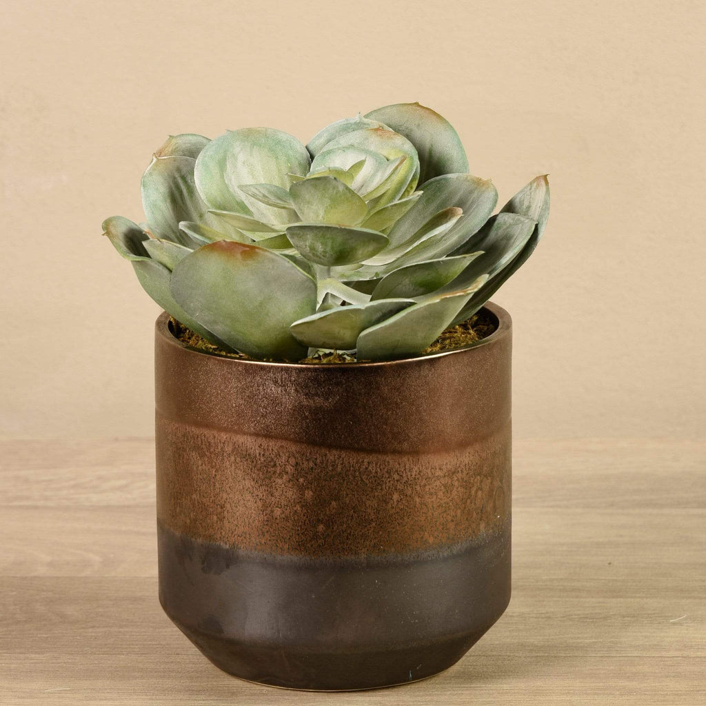 Artificial Potted Succulent - Bloomr