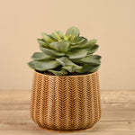 Artificial Potted Succulent - Bloomr