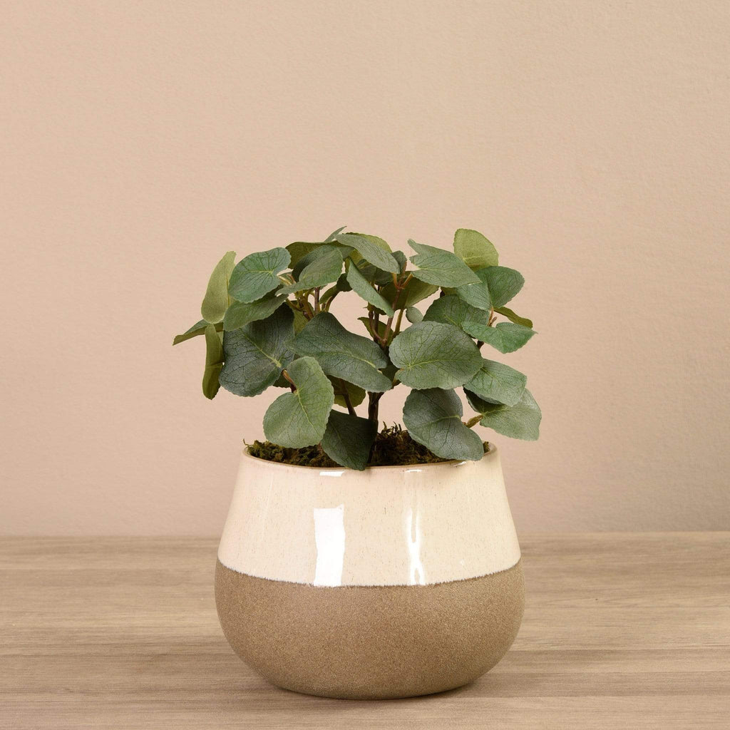 Artificial Eucalyptus Arrangement in Ceramic Vase - Bloomr