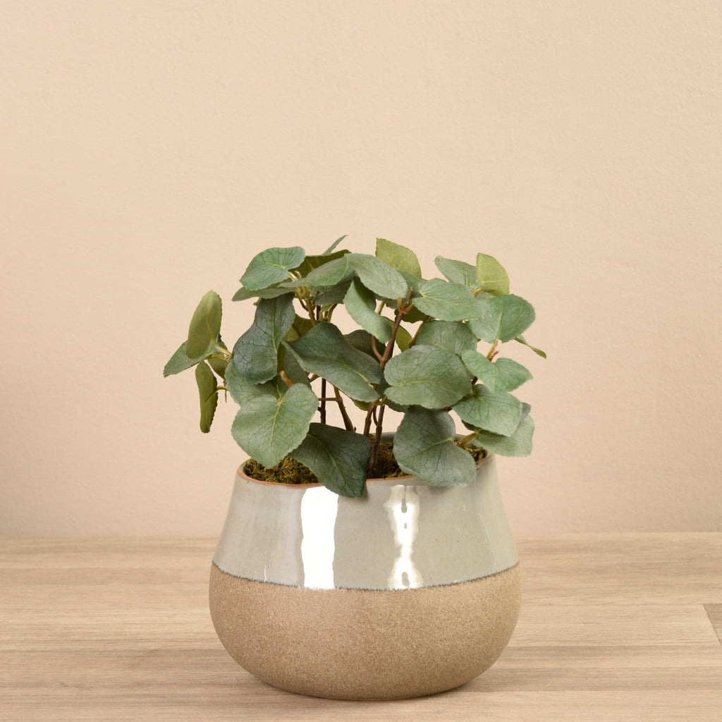Artificial Eucalyptus Arrangement in Ceramic Vase - Bloomr