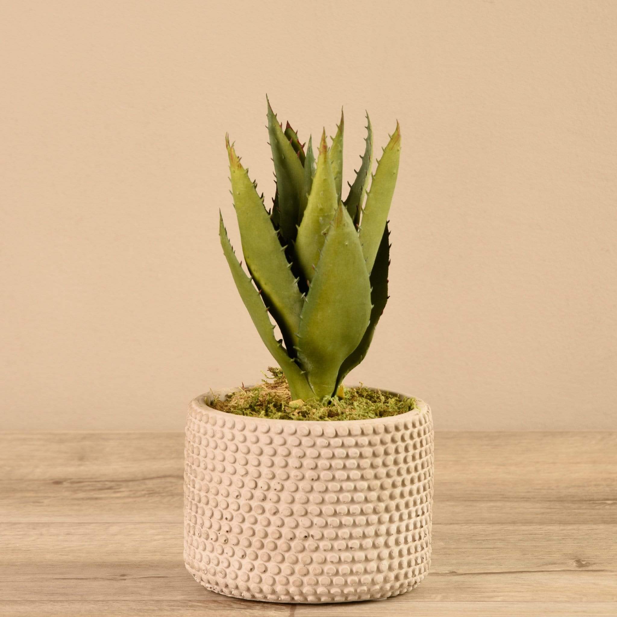 Artificial Aloe in Cement Pot - Bloomr