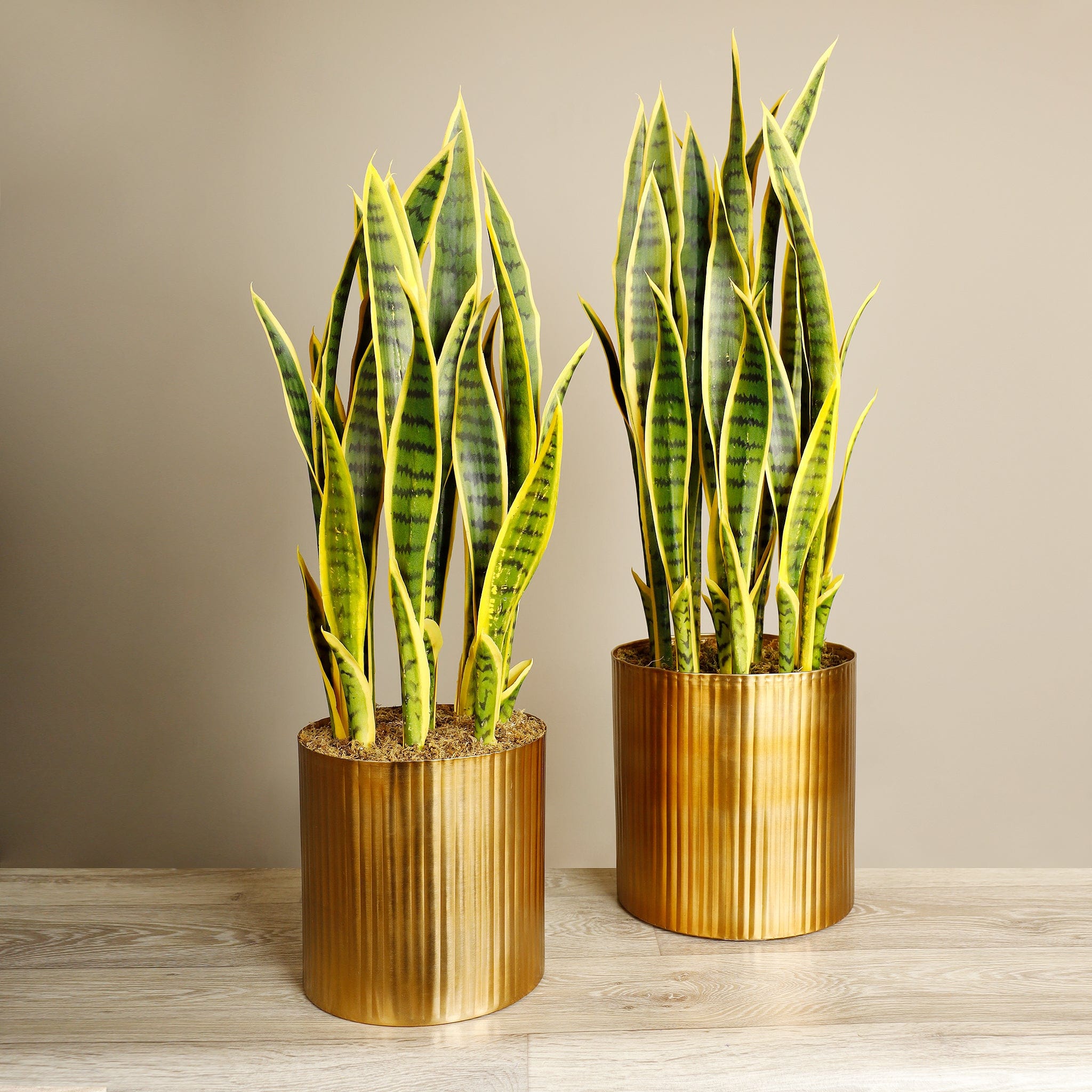 Artificial Sansevieria Plant - Bloomr