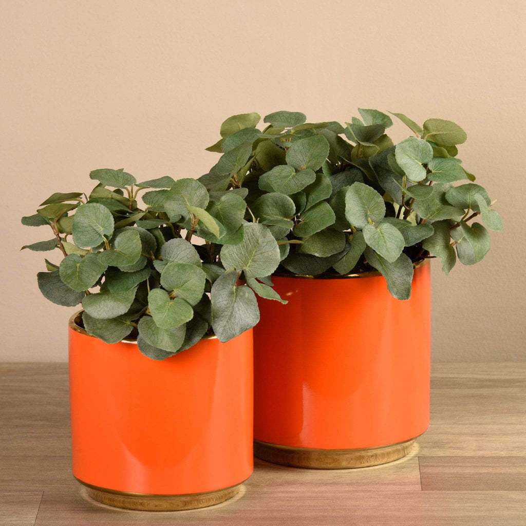 Artificial Potted Eucalyptus - Bloomr