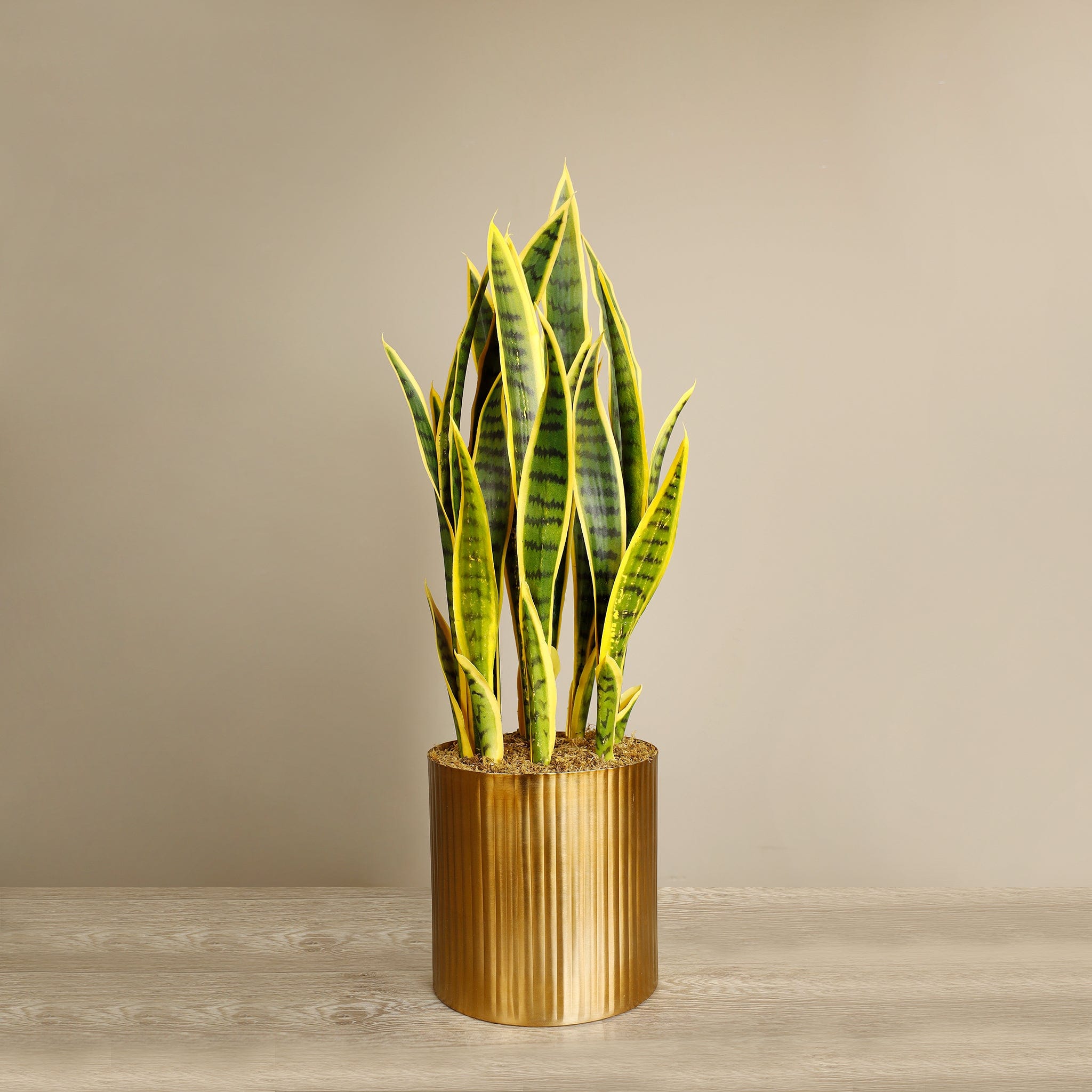 Artificial Sansevieria Plant - Bloomr