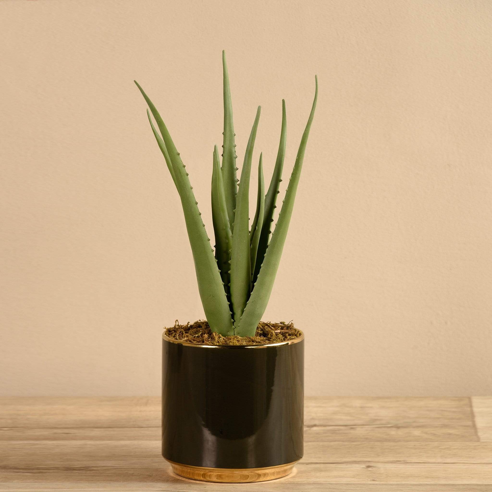 Artificial Potted Aloe - Bloomr